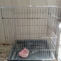 قفس پرنده