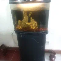آکواریوم شیشه خم