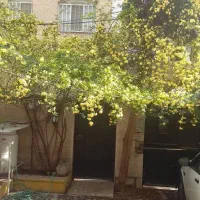 80متر-2-خواب-تکواحدی-بلوار-کشاورز-فلسطین