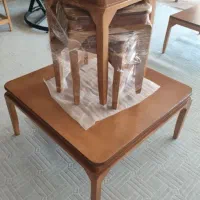 میزوگلمیز جلو مبلی پاندا و پارمیس
