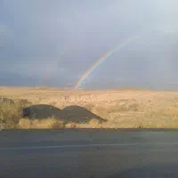 زمین
