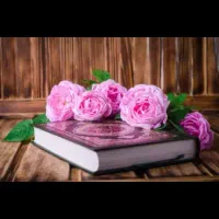 مجله آگاهی دعا فنون کهن قرآنی   فال سرکتاب تحلیلی