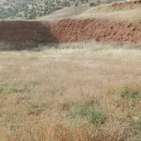 فروش زمین دماوند چنار شرق