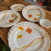 ظروف خارجی ونو