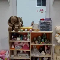 کتابخونه یا شلف
