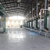 ساخت خط تولید خمیرکاغذ بهداشتی