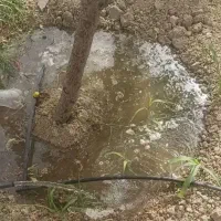 باغچه احمد آباد مستوفی