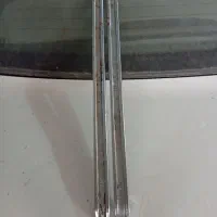 تایلیور آمریکایی اصل