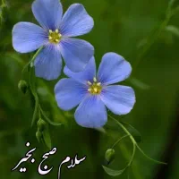 فروش سیم کارت کد یک 139 62 14