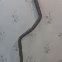 سنتر سایز ۵۱