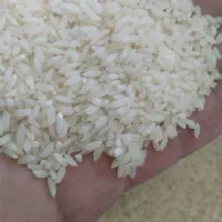 برنج وخرده برنج