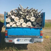 خدمات چوب وبرش درخت
