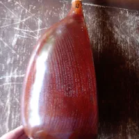 تنبور استاد گهواره ۳مهره