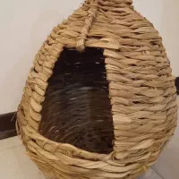 هایدباکس چوبی گربه