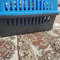 باکس حمل گربه