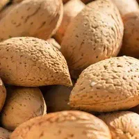 بادام درختی درجه یک