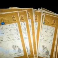 فیش حقوقی