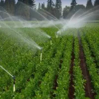 کارگر برای آب یاری کشاورزی