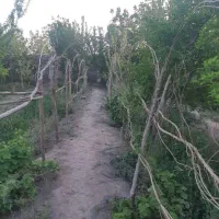 خونه باغ 1406 متری