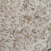 برنج فجر سوزنی