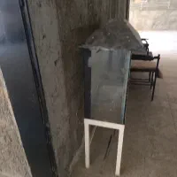 اکواریوم|ماهی|سنندج, |دیوار