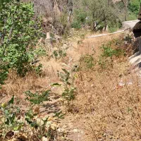خونه-باغ-وشنوه