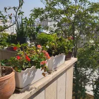 ولنجک، ویلا دوبلکس، مناسب برای کار و سکونت|اجارهٔ خانه و ویلا|تهران, ولنجک|دیوار