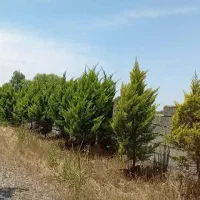 189متر-شهرکی-با-سند-تک-برگ-اقساط-سرخرود
