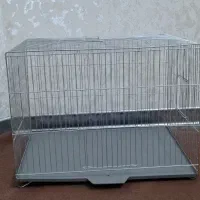 قفس پرنده