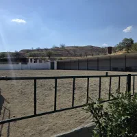 باشگاه سوارکاری لاله