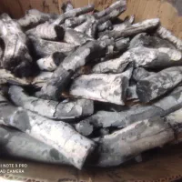 ذغال پسته