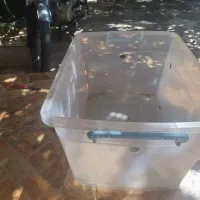 باکس
