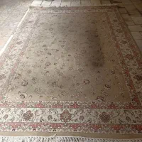 فرش|فرش|تهران, مختاری|دیوار