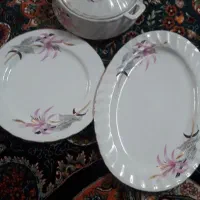 چینی گل شیپوری