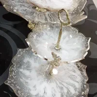 پذیرای رزینی