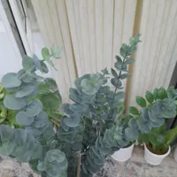 دو دسته اکالیپتوس مصنوعی