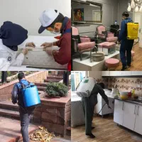 خدمات سمپاشی ضمانتی پرند رباط کریم و...
