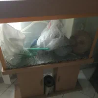 آکواریوم