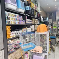 فروشنده خانم