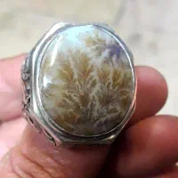 انگشتر نقره شجر کلکسیونی