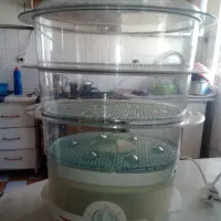بخار پز تفال
