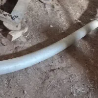 شیلنگ خورتومی