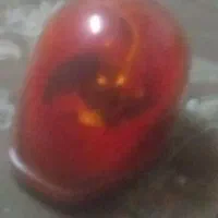 چراغ گردون پلیسی