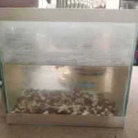 اکواریوم