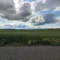 زمین سیصدمتری دارایی امور مالیاتی اردبیل سرعین