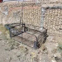 اتاق مبلی وانت