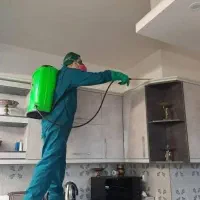 سمپاشی ساس سوسک کنه فقط فقط با یک جلسه