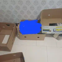 کارتن جا موزی سایز بزرگ