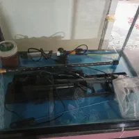 آکواریوم