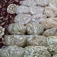 حبوبات